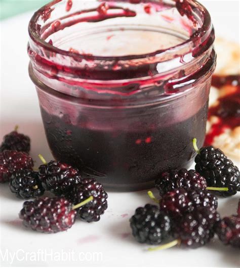 canned mulberry jam